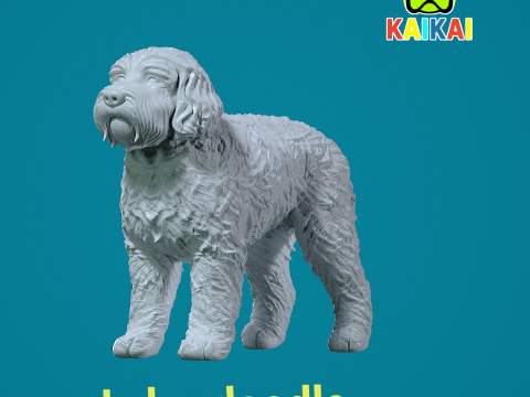 Labradoodle Dog statue - decor - 3D print Modello di stampa 3D