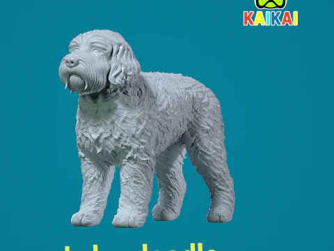 Labradoodle Hond standbeeld - decor - 3D print 3D printmodel