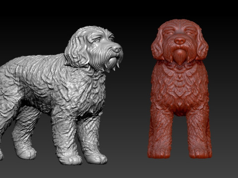 Labradoodle Dog statue - decor - 3D print 3D 打印模型