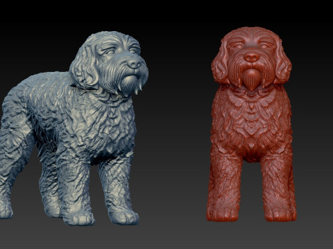 Labradoodle Dog statue - decor - 3D print 3D 打印模型