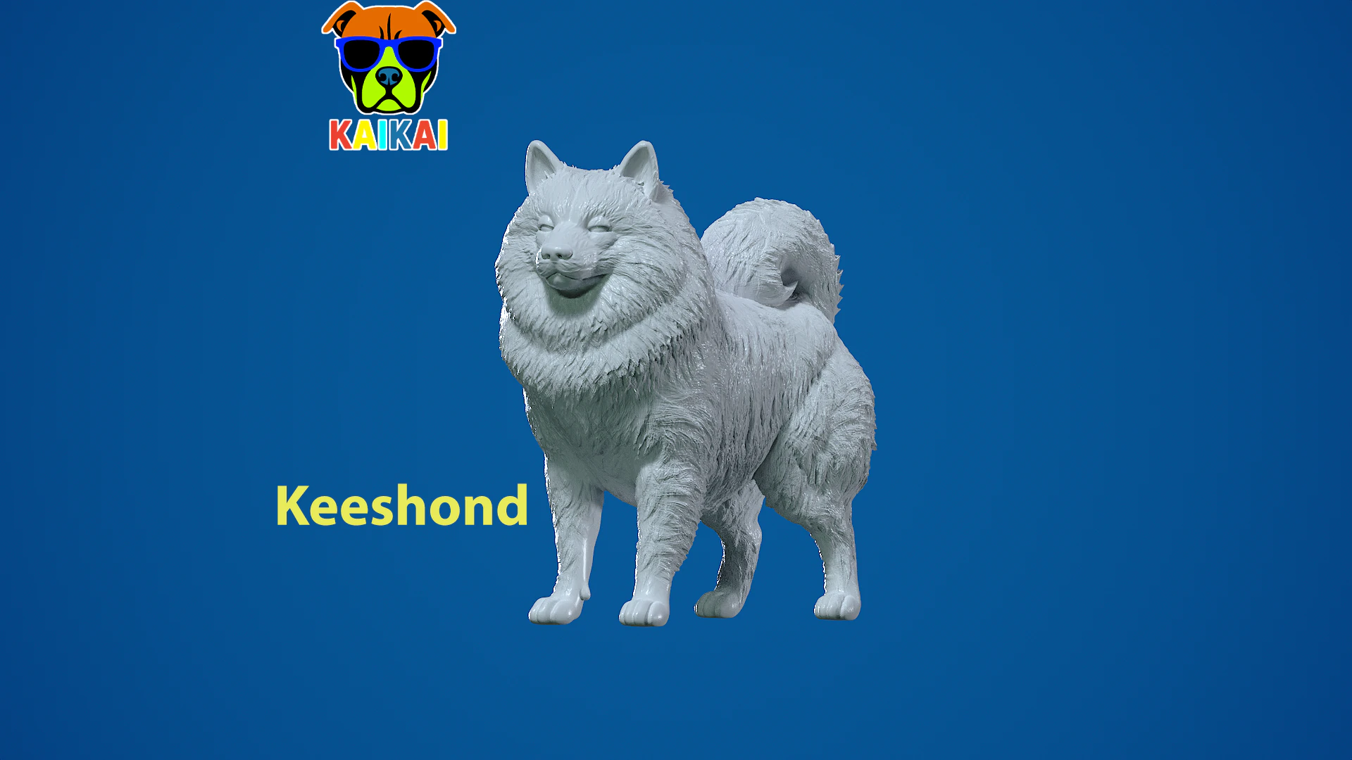 Keeshond Dog model - Dutch Barge Dog statue - 3D print 3D Print Model .c4d .max .obj .3ds .fbx .stl .blend