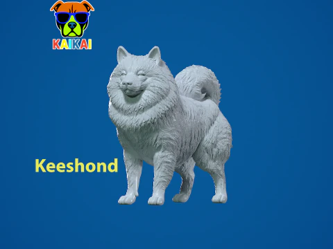 キースホンド犬モデル - オランダのはしけ犬の像 - 3D プリント 3Dプリントモデル