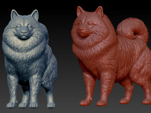 Keeshond Dog model - Dutch Barge Dog statue - 3D print 3D Print Model