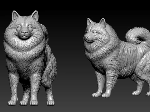 Keeshond Dog model - Dutch Barge Dog statue - 3D print 3D Print Model