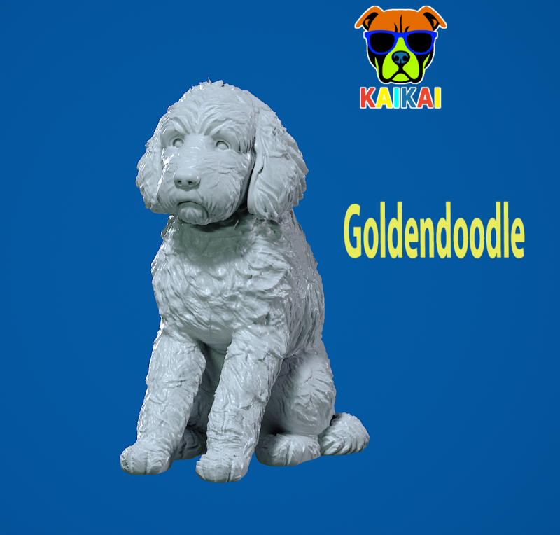 Goldendoodle Dog - Doodle Dog model - statue - 3D print Model Cetak 3D .c4d .max .obj .3ds .fbx .stl .blend