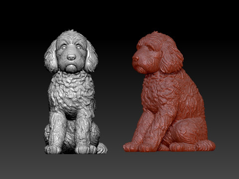 Goldendoodle Dog - Doodle Dog model - statue - 3D print Model Cetak 3D