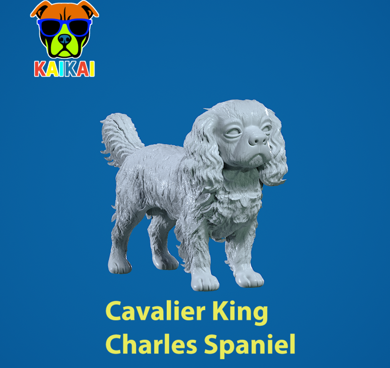 Cavalier King Charles Spaniel dog statue - decor - 3D print 3D-printmodel .c4d .max .obj .3ds .fbx .stl .blend