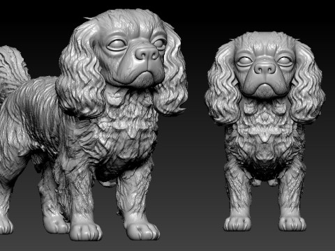 Cavalier King Charles Spaniel dog statue - decor - 3D print 3D-printmodel