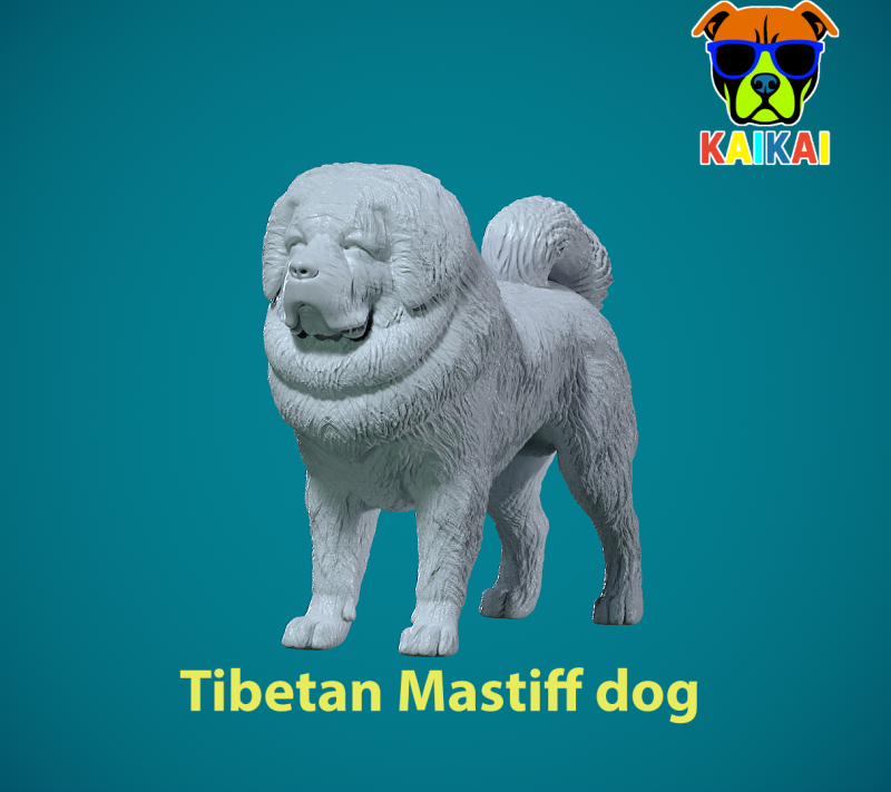 Tibetan Mastiff Dog - mastiff DOg model - 3D print 3D प्रिंट मॉडल .c4d .max .obj .3ds .fbx .stl .blend