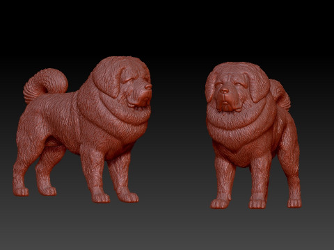 Tibetan Mastiff Dog - mastiff DOg model - 3D print 3D प्रिंट मॉडल