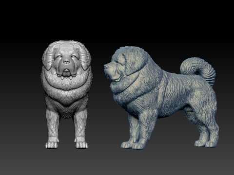 Tibetan Mastiff Dog - mastiff DOg model - 3D print 3D प्रिंट मॉडल