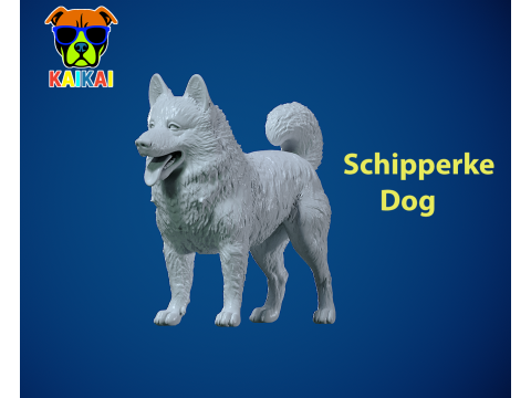 Schipperke Dog model- Little Captain Dog - 3D print Modello di stampa 3D