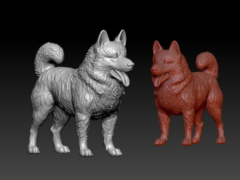 Schipperke Dog model- Little Captain Dog - 3D print 3D Baskı Modeli