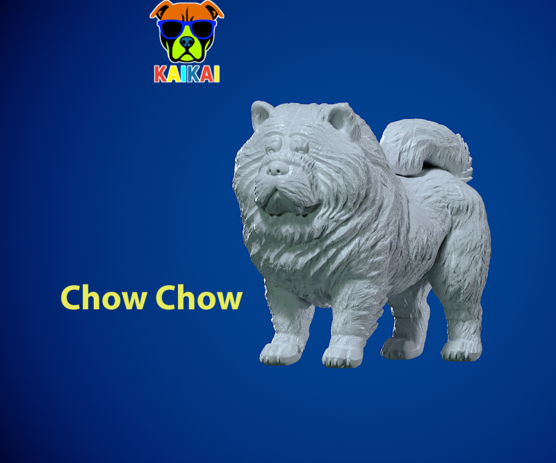 Chow Chow Dog model - Chow Dog statue - 3D print 3D Baskı Modeli .c4d .max .obj .3ds .fbx .stl .blend