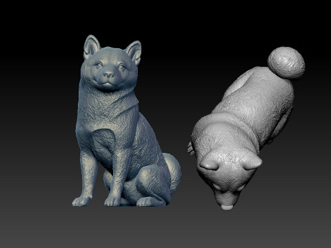 Japanese Shiba Inu Dog Sitting- Shiba Inu dog model - 3D print 3D-printmodel