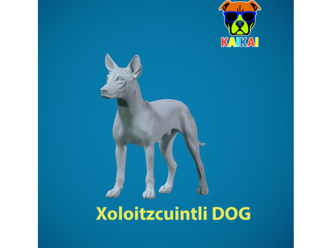 Xoloitzcuintle Hairless Dog model - decor - statue - 3D print 3D-Druckmodell