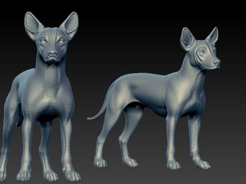 Xoloitzcuintle Hairless Dog model - decor - statue - 3D print 3D-printmodel