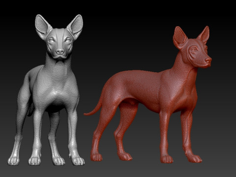 Xoloitzcuintle Hairless Dog model - decor - statue - 3D print 3D-printmodel