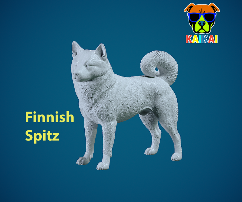 Finnish Hound dog model - Loulou Finois Dog statue - 3D print 3D 프린트 모델 .c4d .max .obj .3ds .fbx .stl .blend
