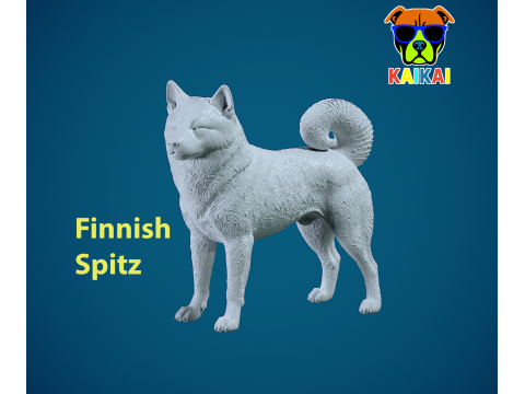 Finnish Hound dog model - Loulou Finois Dog statue - 3D print Modello di stampa 3D