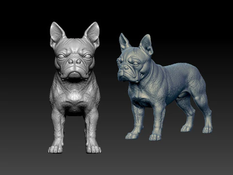 Boston Bull Terrier Dog - American gentleman Dog model - 3D print 3D Print Model