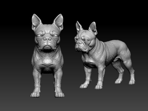 Boston Bull Terrier Dog - American gentleman Dog model - 3D print Model do druku 3D