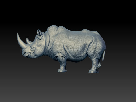 Rhino model - one-horned rhinoceros- decor - 3D print Modello di stampa 3D
