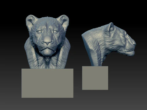 Lion bust - Panthera leo model - 3D print 3D Print Model