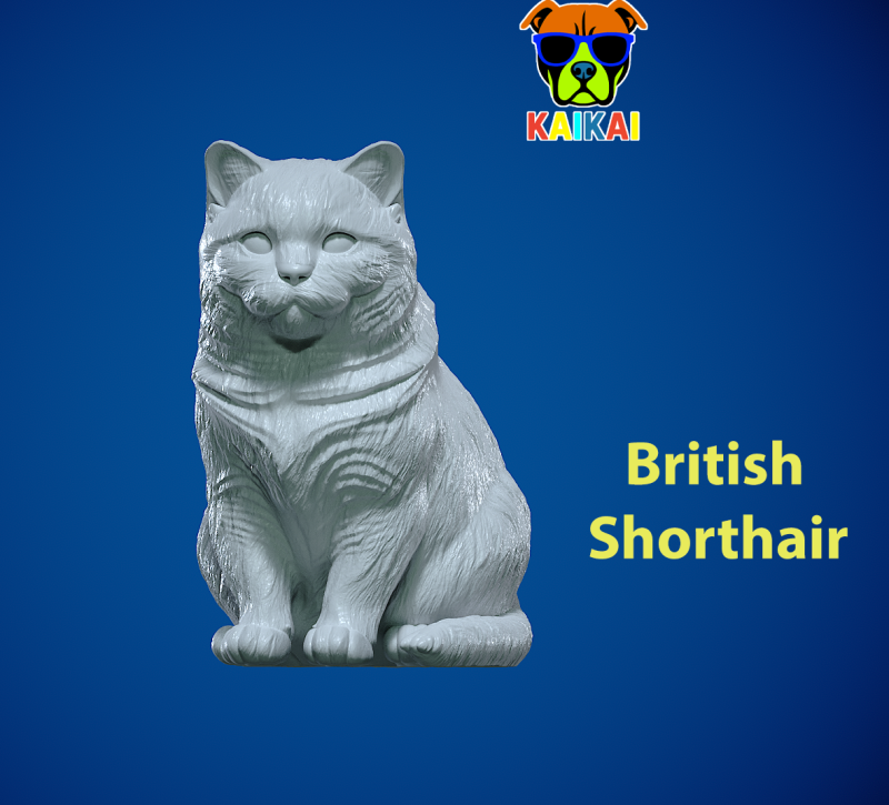 British Shorthair cat - Blue England Cat model - statue - 3D print 3D Print Model .c4d .max .obj .3ds .fbx .stl .blend