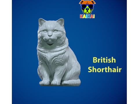 British Shorthair cat - Blue England Cat model - statue - 3D print 3D Print Model