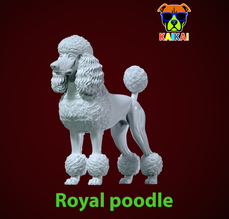 Royal poodle Dog model - Poodle Dog statue - 3D print 3D Print Model .c4d .max .obj .3ds .fbx .stl .blend