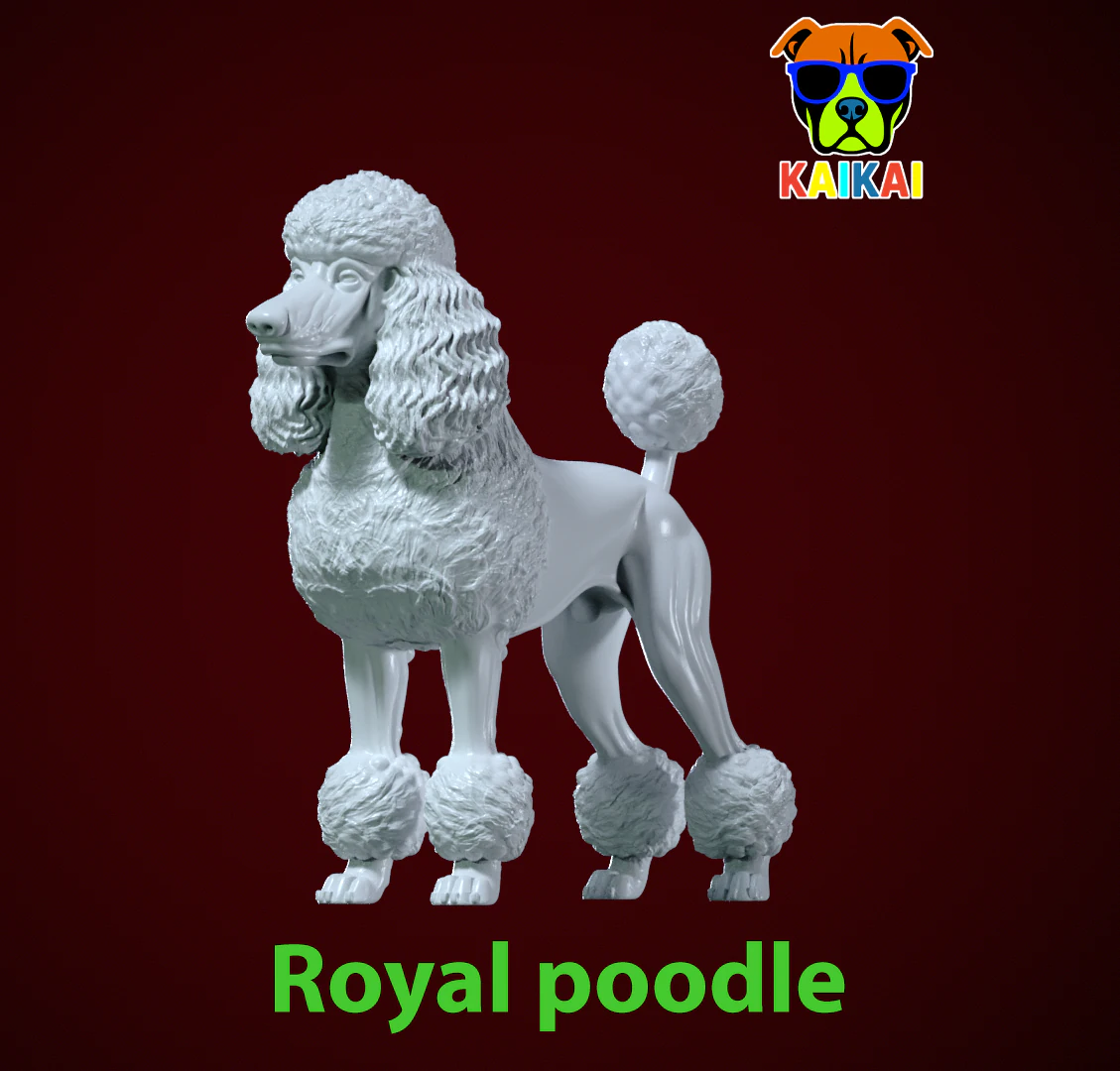 Royal poodle Dog model - Poodle Dog statue - 3D print 3D Print Model .c4d .max .obj .3ds .fbx .stl .blend 