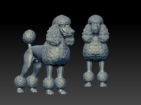 Royal poodle Dog model - Poodle Dog statue - 3D print 3D Print Model