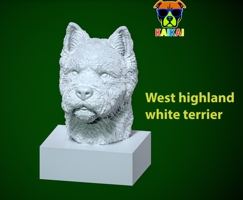 West highland white terrier Dog Bust model - statue - 3D print Modelo de impresión 3D .c4d .max .obj .3ds .fbx .stl .blend