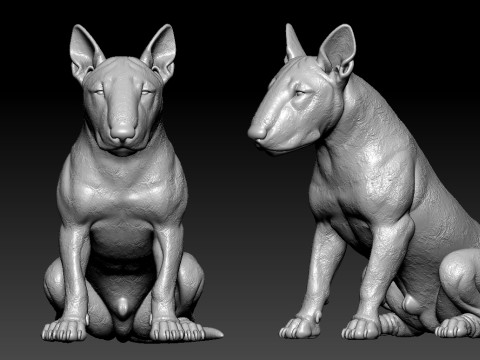 Bull Terrier Dog - Miniature Bull Terrier Dog - statue - 3D print Model do druku 3D