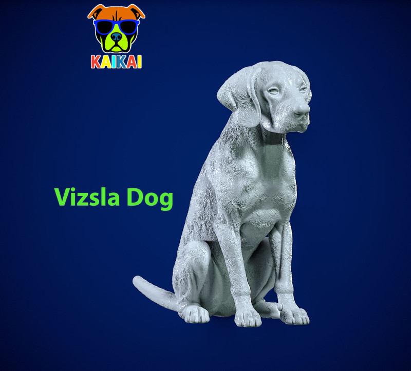 Dog Vizsla - Vizsla Hungary dog model - 3D print Modelo de impresión 3D .c4d .max .obj .3ds .fbx .stl .blend