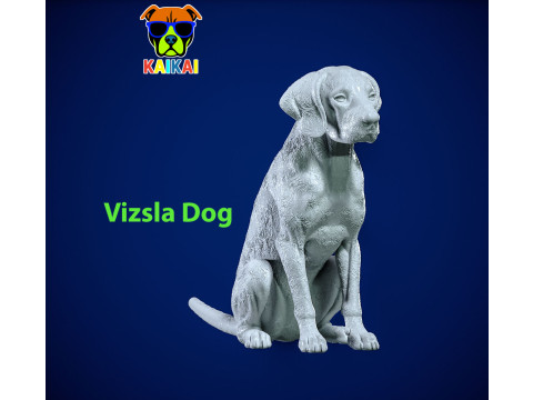 Dog Vizsla - Vizsla Hungary dog model - 3D print 3D Принт Модель