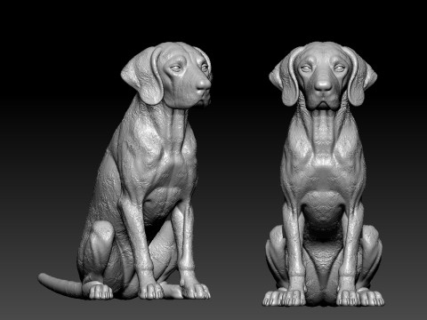 Dog Vizsla - Vizsla Hungary dog model - 3D print Modelo de impresión 3D