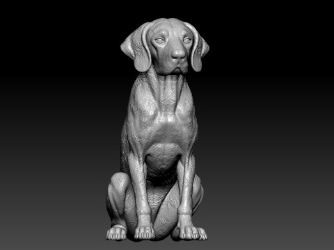 Dog Vizsla - Vizsla Hungary dog model - 3D print Modelo de impresión 3D