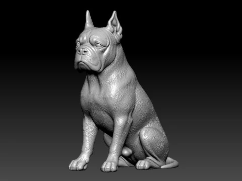 Deutscher boxer Dog - Boxer Tedesco Dog - statue - 3D print 3D Print Model