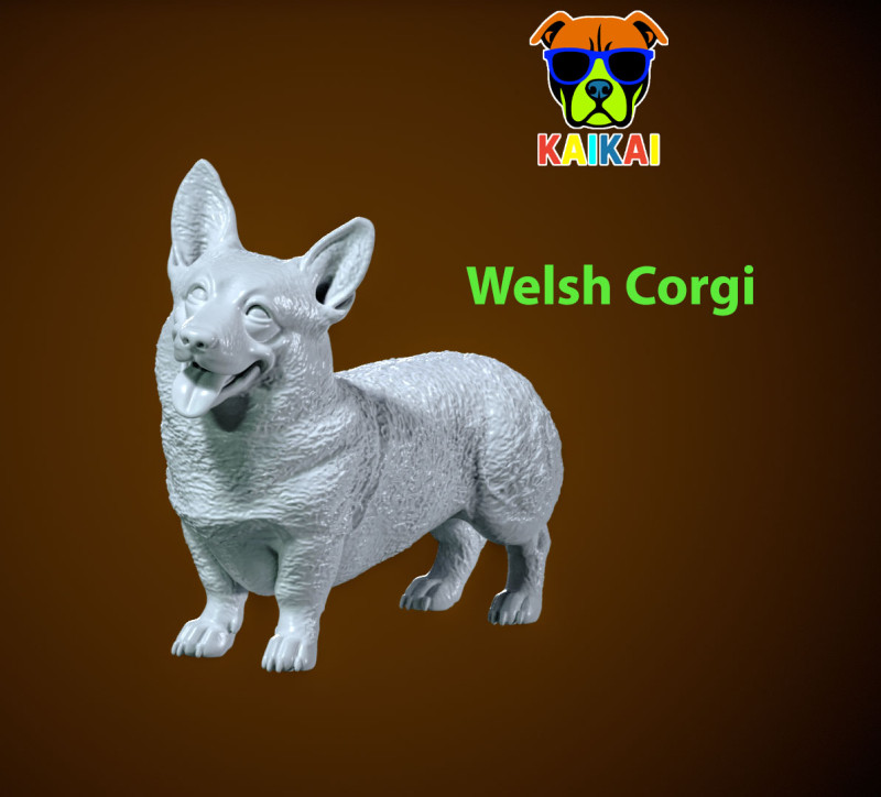 Pembroke Welsh Corgi Bobtail Dog model - statue - 3D print 3Dプリントモデル .c4d .max .obj .3ds .fbx .stl .blend