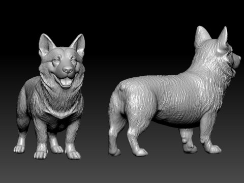 Tailless Swedish Vallhund Dog model - 3D print Modello di stampa 3D