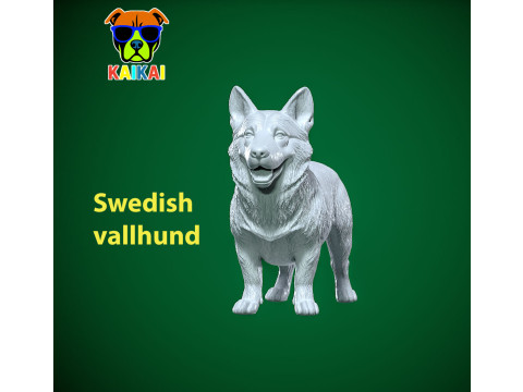 Tailless Swedish Vallhund Dog model - 3D print 3Dプリントモデル