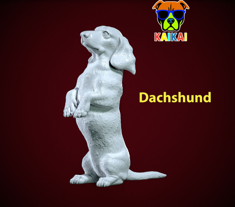 Dachshund Dog standing statue - Dachshund model - 3D print 3Dプリントモデル .c4d .max .obj .3ds .fbx .stl .blend