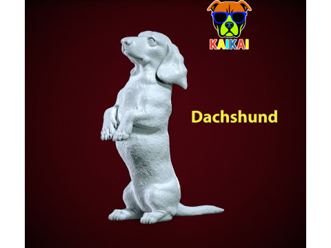 Dachshund Dog standing statue - Dachshund model - 3D print 3D Print Model