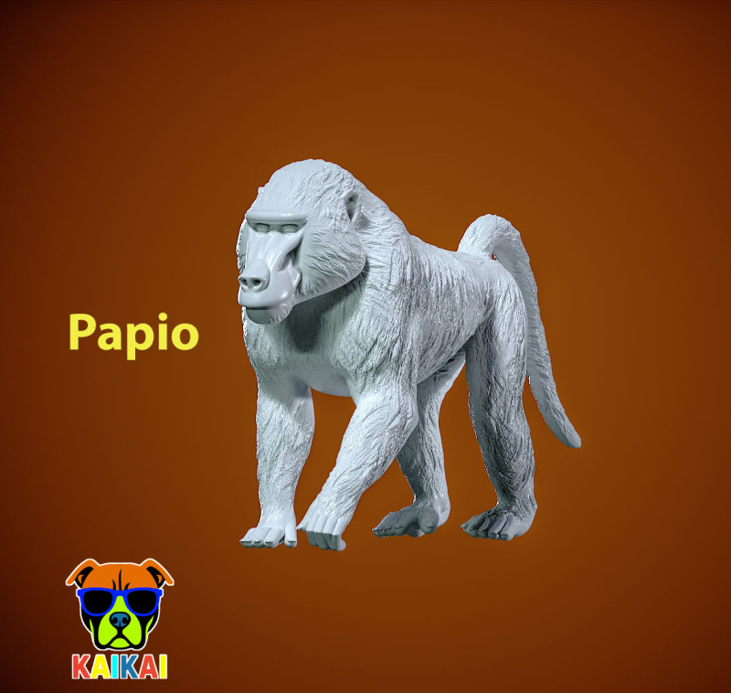Papio model - Olive Baboon model- statue - 3D print Model Cetak 3D .c4d .max .obj .3ds .fbx .stl .blend