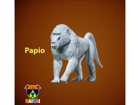 Modelo Papio - modelo Olive Baboon - est&aacute;tua - impress&atilde;o 3D Modelo de Impressão 3D