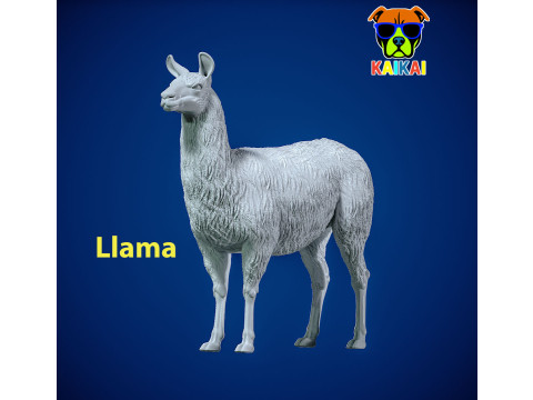 Llamas model - camel statue - 3D print 3D 打印模型