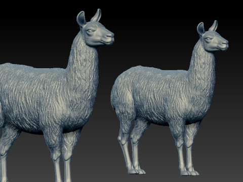 Llamas model - camel statue - 3D print Modelo de impresión 3D