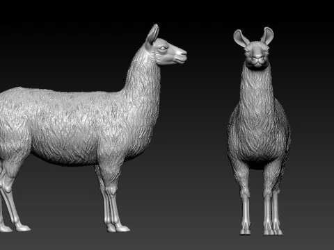 Llamas model - camel statue - 3D print 3D Print Model